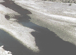 from the highest bridge