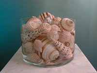 Classic Blue Pacific Seashell Water Fountain