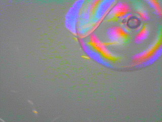 Webcam image -1