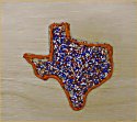 Texas map cookie 