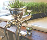 juicing the wheatgrass