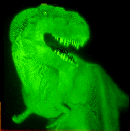 T-Rex image 1